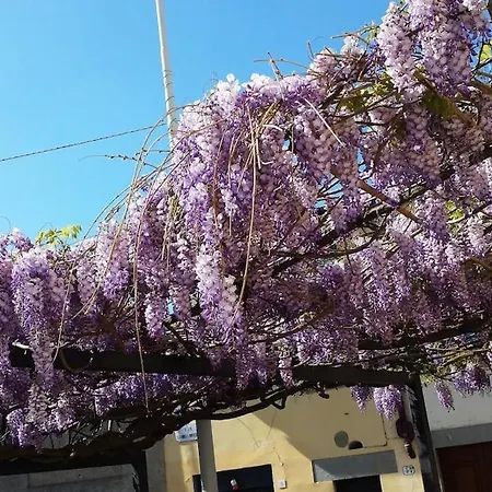 아파트 Lovely In 피렌체